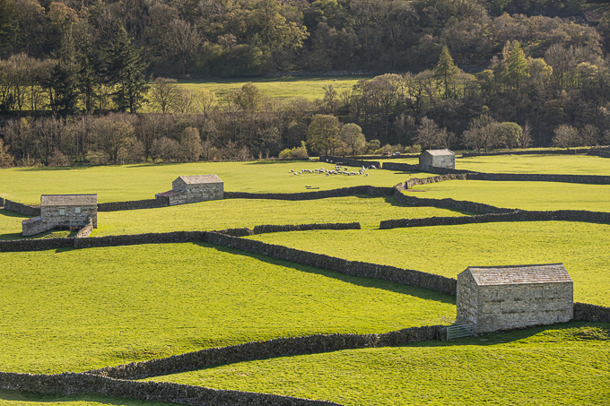 Swaledale Barns